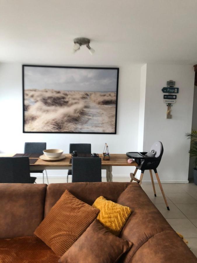 Seafox De Haan